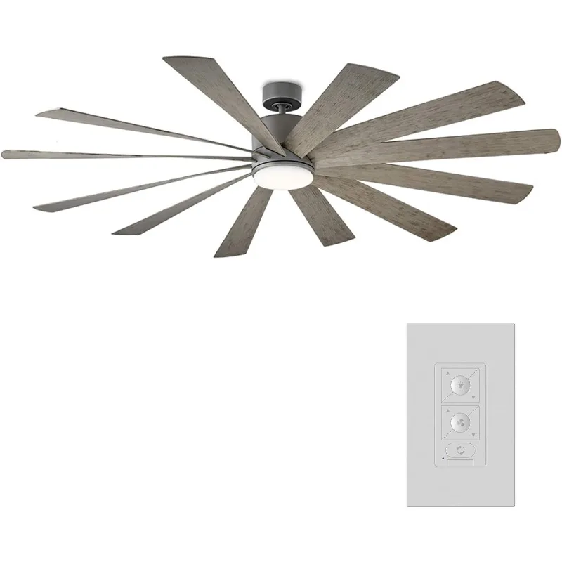 Windflower Smart Indoor and Outdoor 12-Blade Ceiling Fan 80in Graphite Weathered Gray with 2700K LED Light Kit