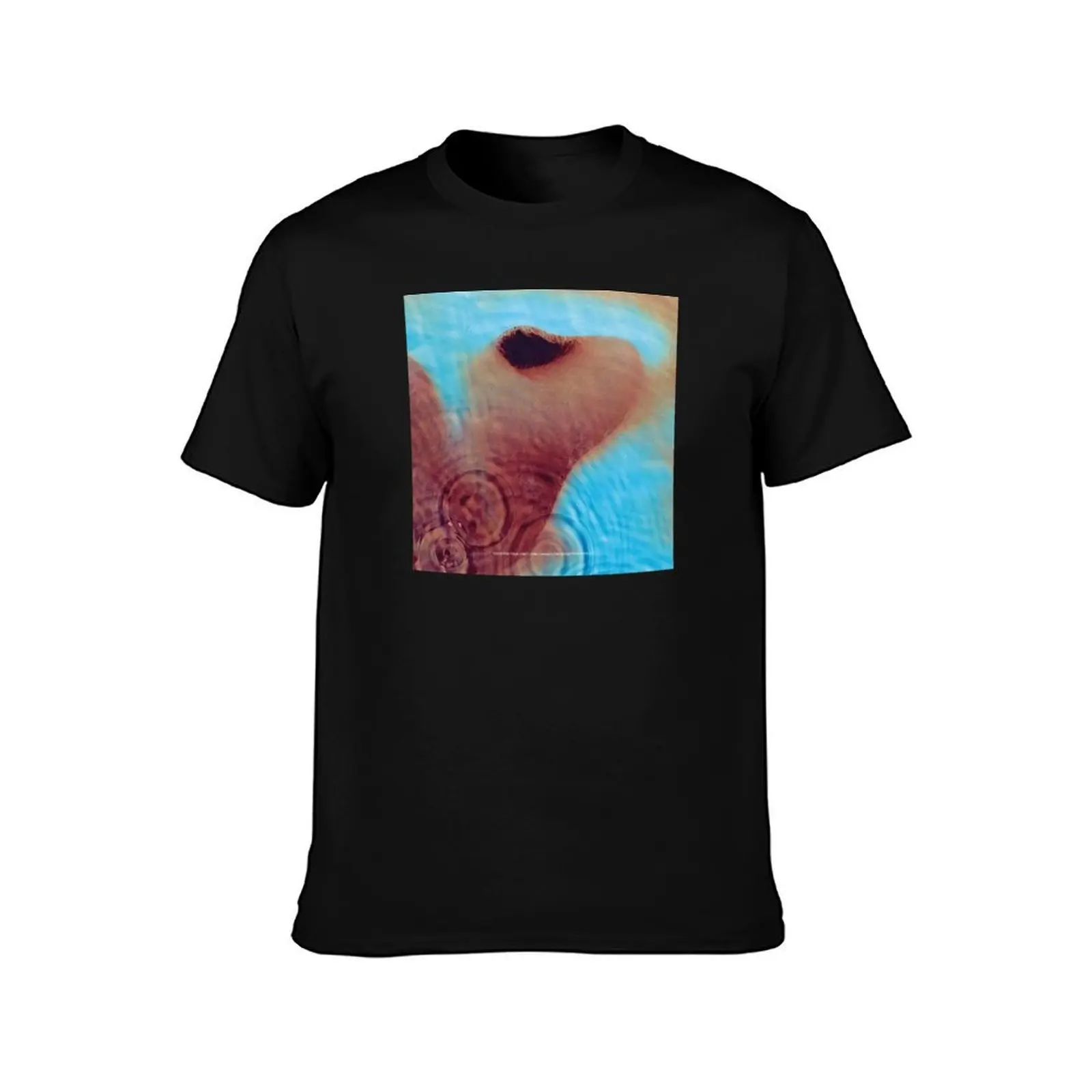 Meddle T-Shirt t shirt men 100% cotton luxury brand T-Shirt