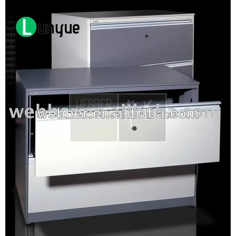 Metal Lateral Steel Filing Cabinet 2 Drawer Office Storage Organizer Heavy Duty Lockable File Folder Cabinet for Home