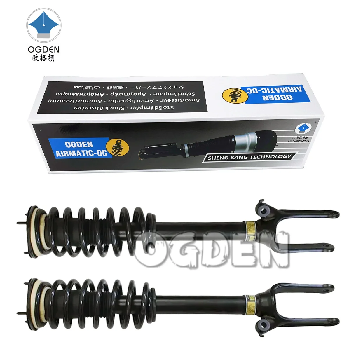 OGDEN 2PCS For Mercedes-benz R-Class 251 Front left+right spring shock absorber Assembly 2006-2013 2513200026 2513200330