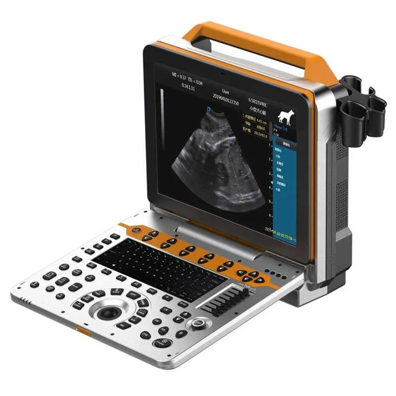 Real Time 4d Imaging High-end Portable Veterinary Color Ultrasonic System Digital Color Doppler System