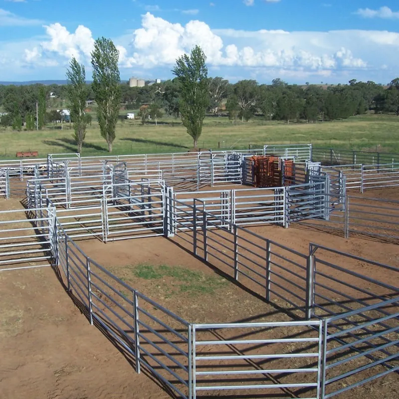 Customization Australia Farm Animal Livestock Fence Yard Panel Welded Metal Cattle Panel Fence/Sheep Panel/cattle Corral Panels