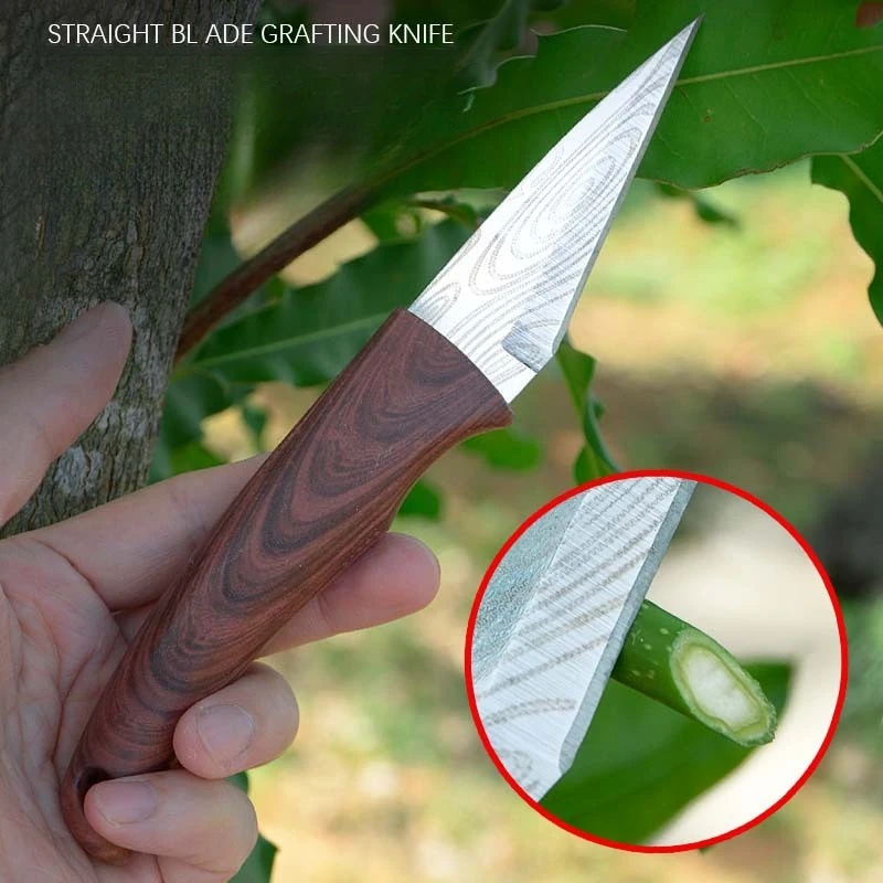

Wooden Handle Grafting Knife with Leather Shell Suitable for Garden Grafting/unpacking Etc Solid Wood Handle Garden Hand Tool