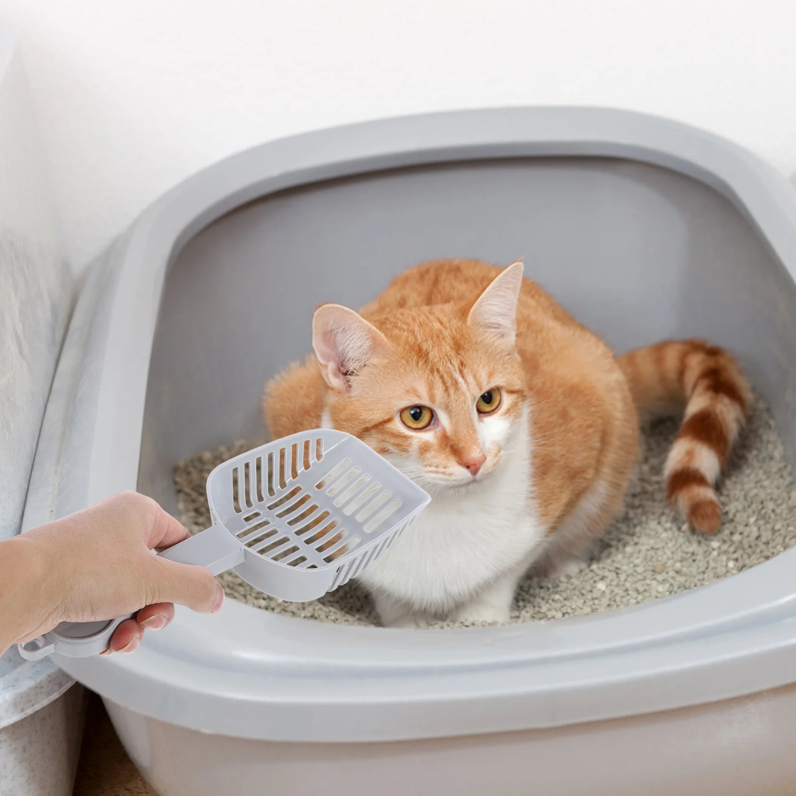 Colador de arena para gatos, 2 piezas, con bandeja negra profunda