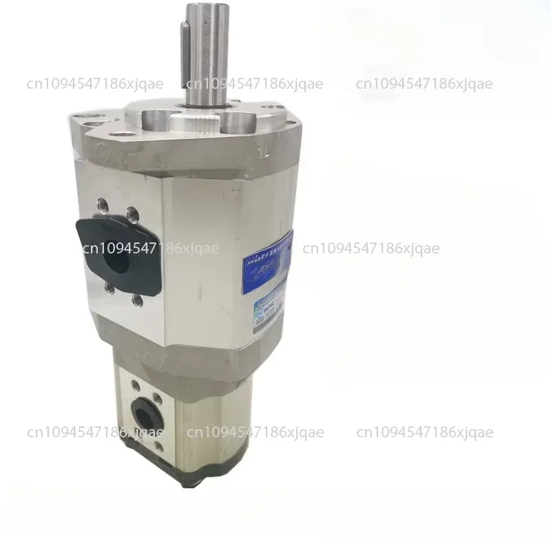 

Hydraulic double gear pump electric pump CBQT-F563/F432-AFP/AFPL/AFH/AFHL