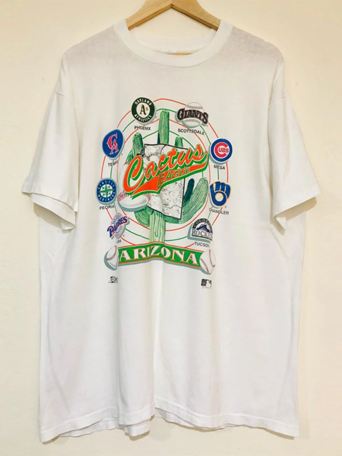 Vintage Streetwear Cotton T-Shirt for Men And Women with Cactus Print Loose Fit Short Sleeve round Neck Top for Teens