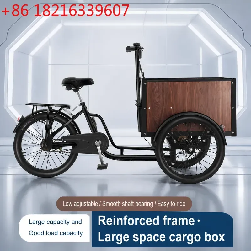 Electric Tricycle for Seniors Three Wheel Scooter for Elderly Passenger Transport Child Pickup and Drop Off Vehicle