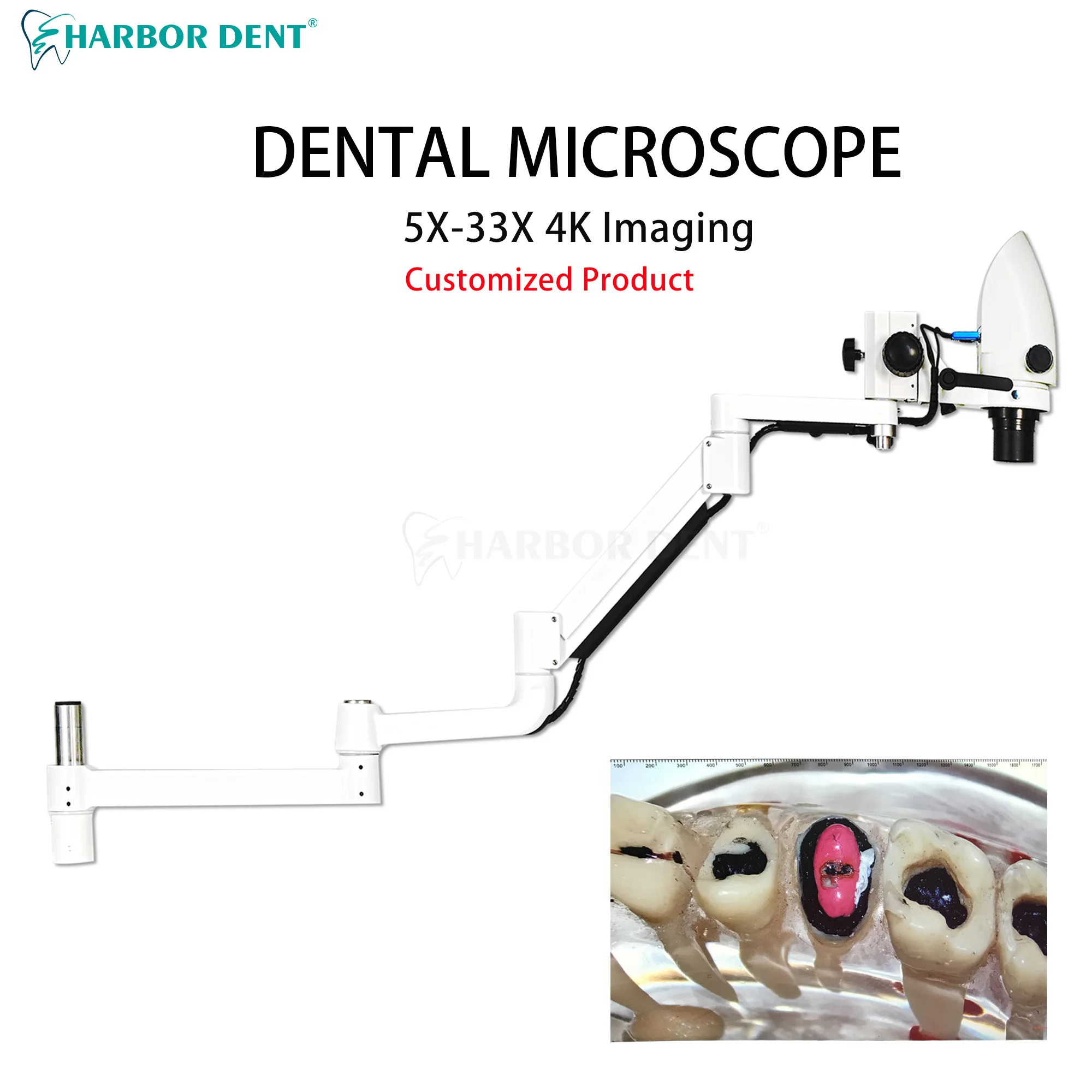 

5X-33X Dental Surgical Microscope With Camera For Dentist Chair Unit Root Canal Microscope Dentistry Equipment Customization