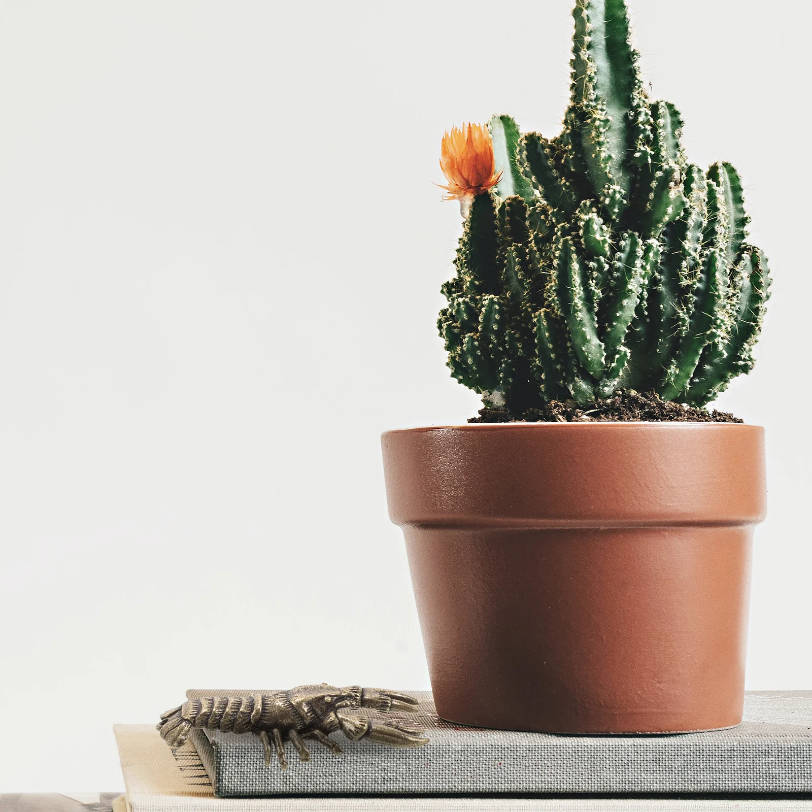 

Desktop Lobster Ornament Alloy Retro Style Home Decor Creative Stationery Accessories for Tea House Office Desk Garden