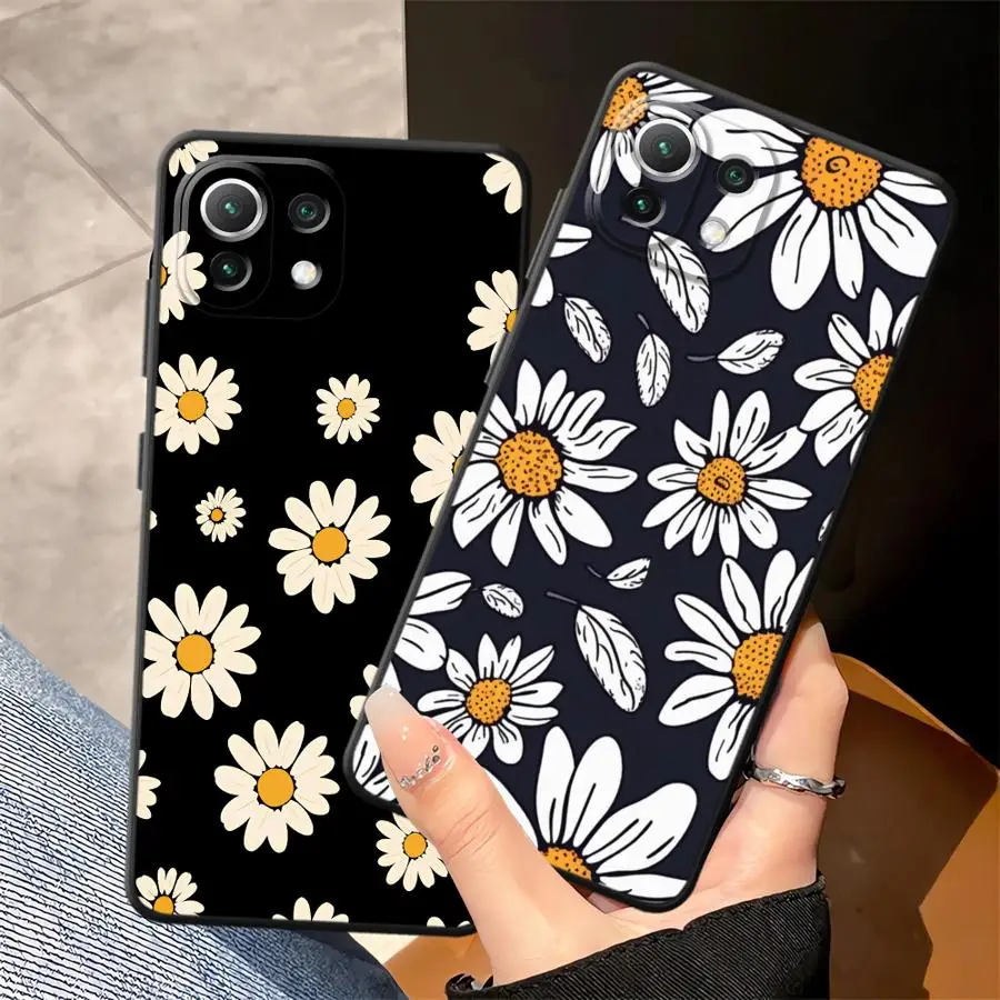 Beautiful Daisy Bla… - image