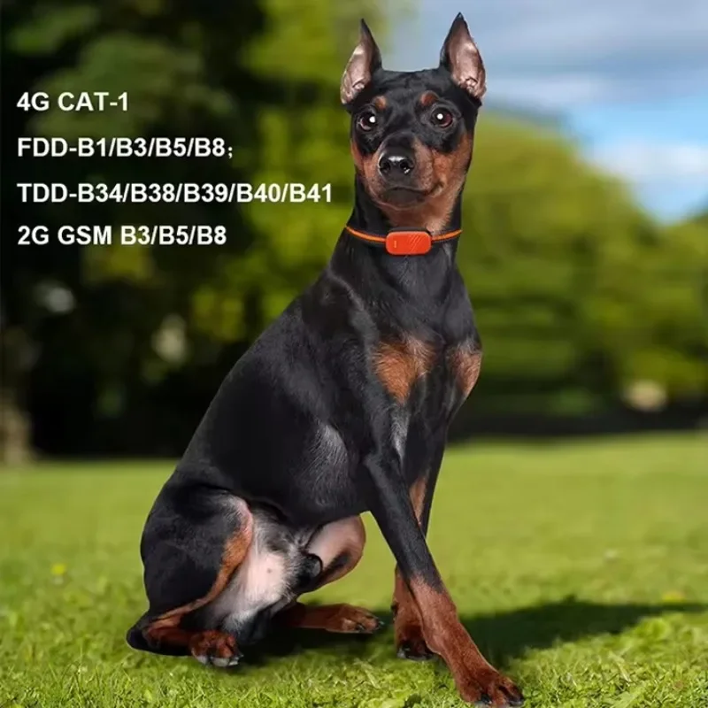 CANBOUN Best Selling Waterproof App Based Wireless Dog Fence Collar Animal Mini 4G Real-Time Smart GPS Tracker