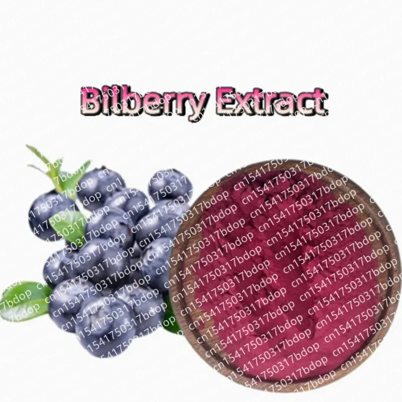 Customized Raw Material Supply 20:1 Bilberry Extract Double Deck Plastic Bag for Global Distributors