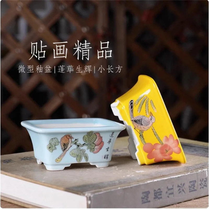 Porcelain Glazed Rectangle Bonsai Pot,Chinese Bird Pattern,Light Blue,Yellow,Bryophyte, Small Flower Plant,Garden