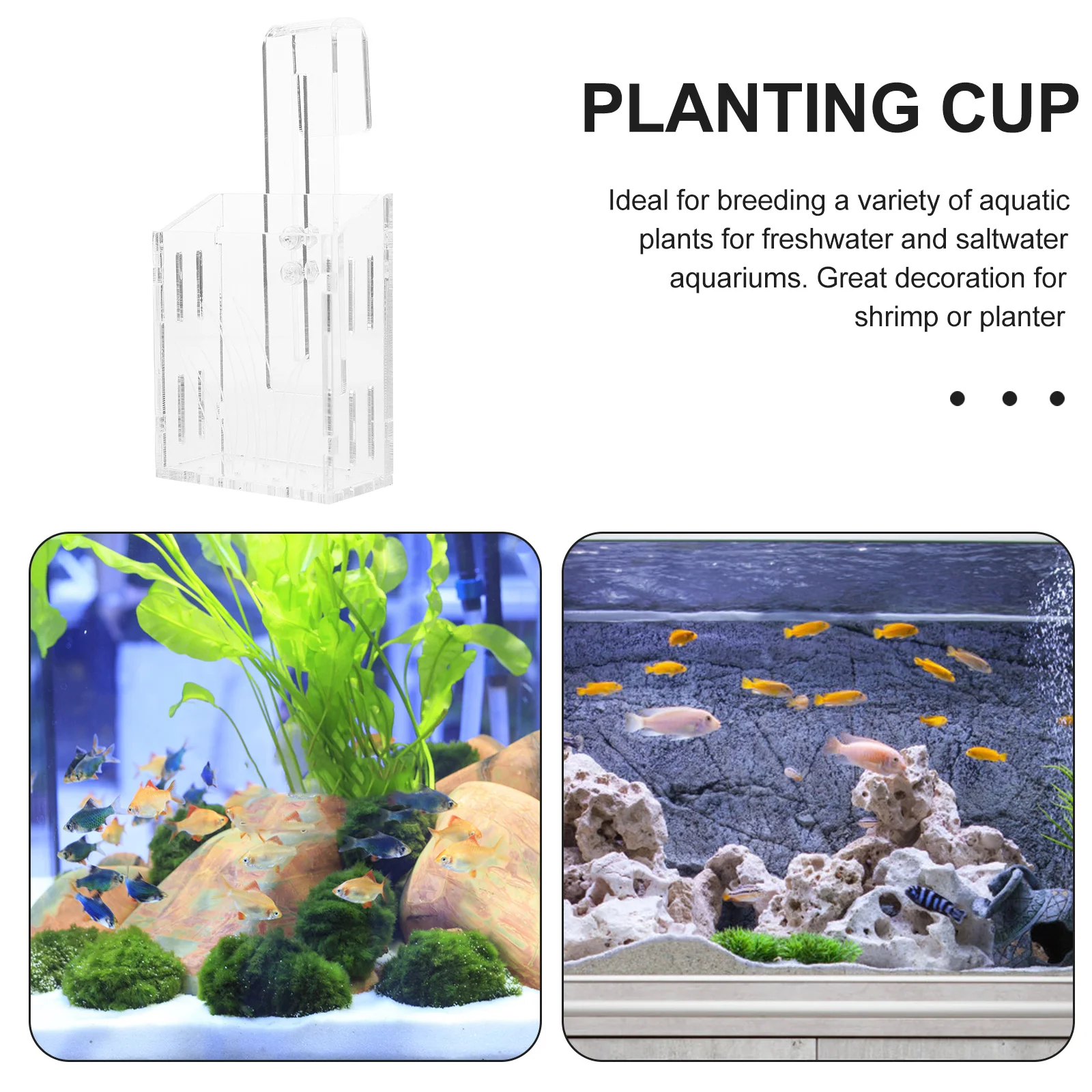 

Acrylic Fish Tank Water Planter Hanging Aquatic Plant Holder Transparent Container Durable Reusable Hook Design Smooth Mouth