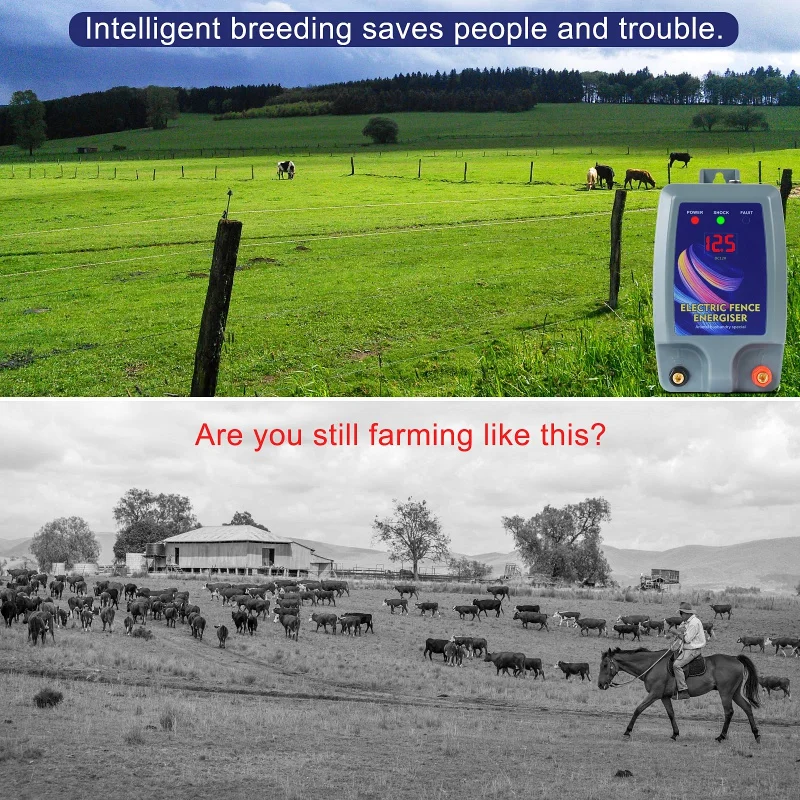 

Электронный хост ограждения 10 км, пасторальный забор, усилитель импульсной энергии, мечта за животными, система электросетки для разведения крупного рогатого скота и овец