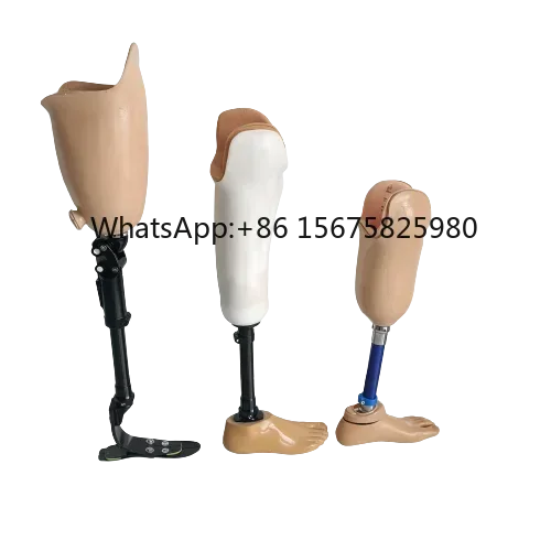 Medical Artificial Limb Prosthetic Leg O rthopedic Prosthesis for Amputee Rehabilitation Use
