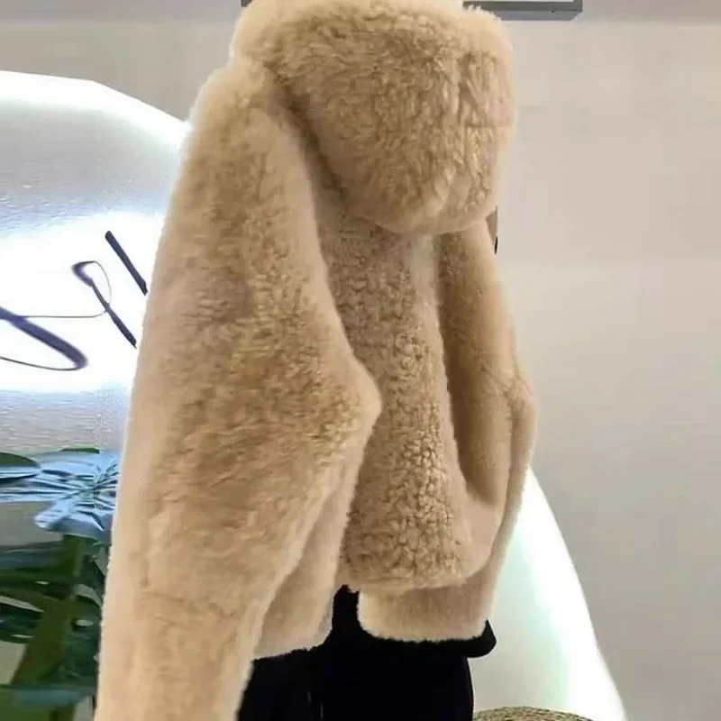 2023 nuove donne cappotto di alta qualità addensato sciolto delicato coreano con cappuccio capelli di agnello moda Casual confortevole cappotto corto