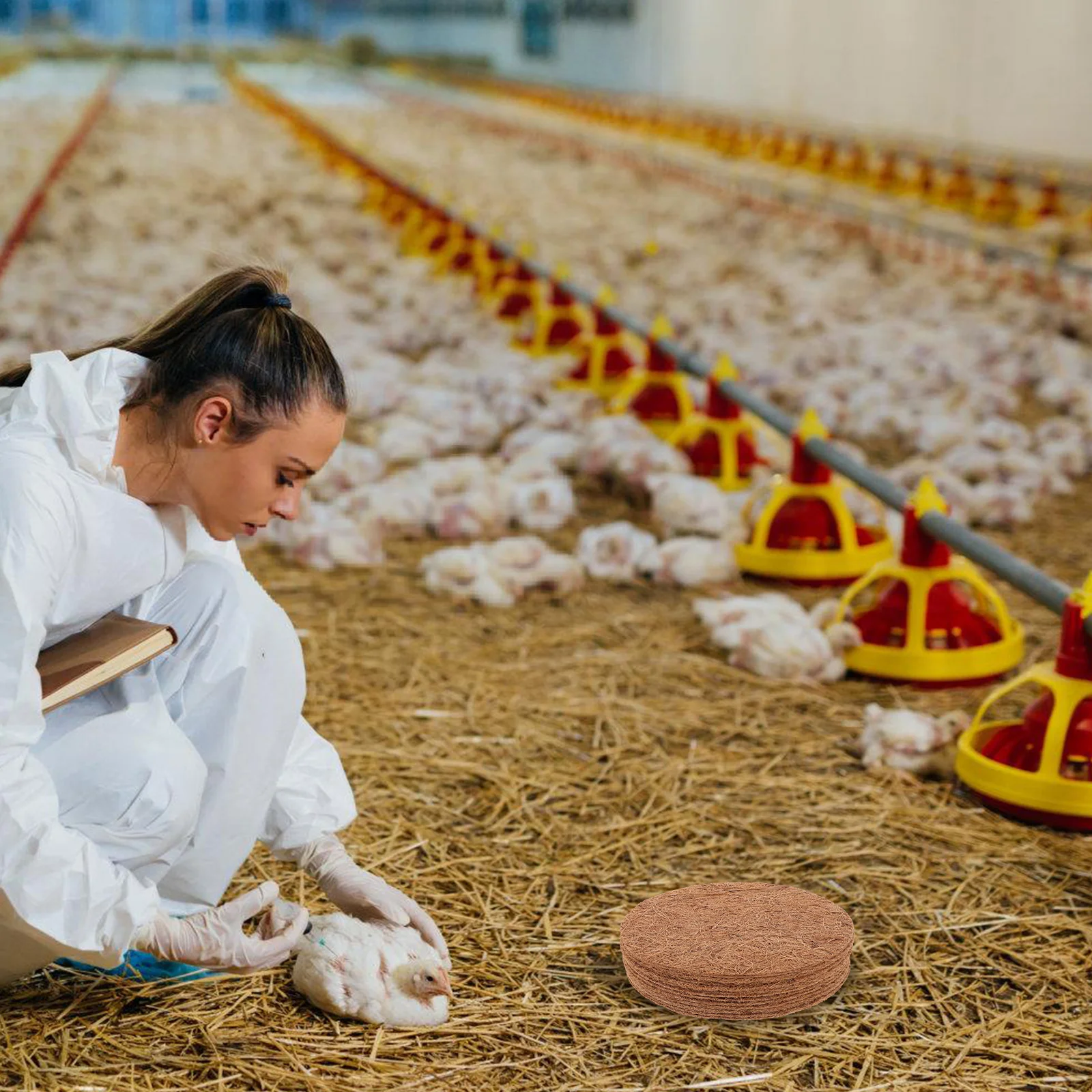 Thumbnail 2 - #12 Budget Cages & Pens for Smart Shoppers
