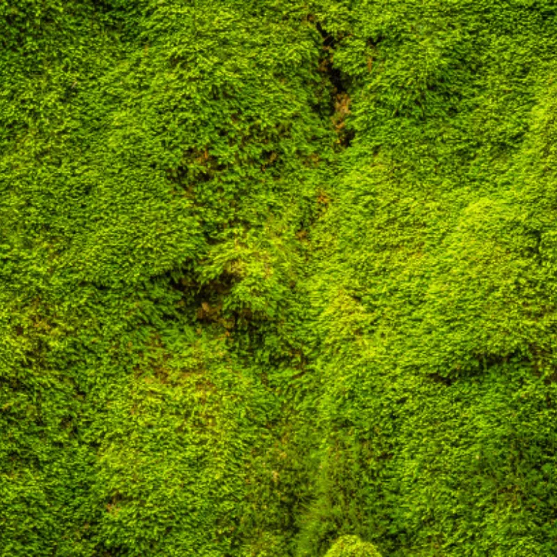 

116 г/шт. 1,9-дюймовый обод колеса с бусинами для 1/10 RC гусеничного автомобиля, осевой SCX10 90046 RedCat Gen8 Trxs TRX-4