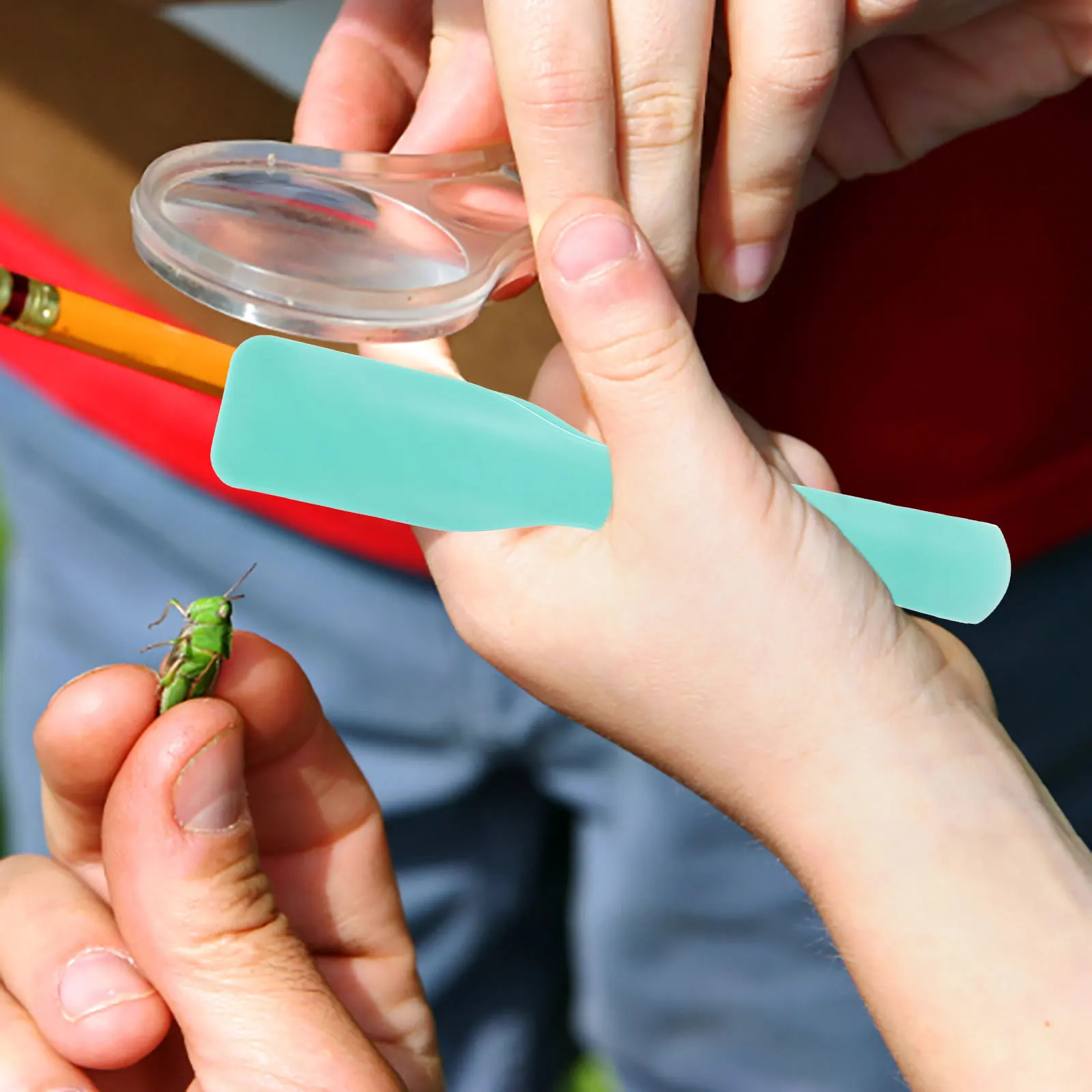 20pcs Tweezers Teaching Aids Plastic Tongs For Kids Insect Observation Tool Educational Skill Development Ages 4-5