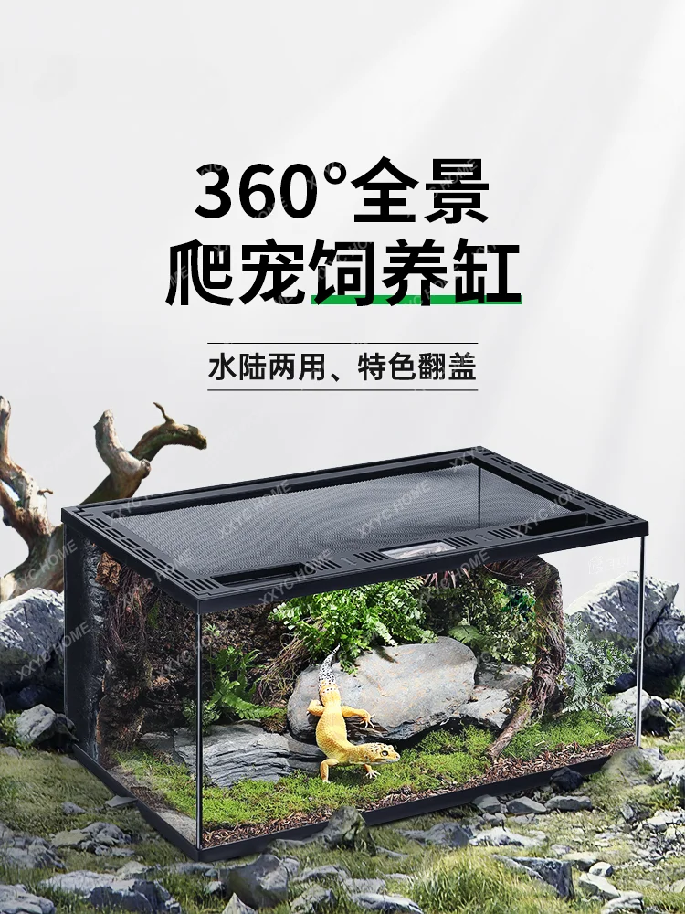 Palace Guard Lizard Ceratophrys Hermit Crab Tortoise Snake Insect Glass Rainforest Jar Full Transparent Ecological Pot