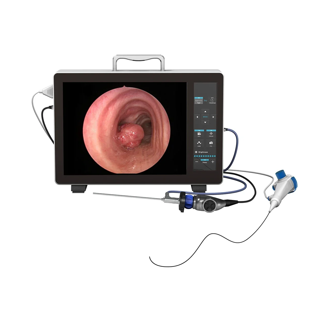 full HD veterinary endoscope system flexible endoscope veterinary equipment