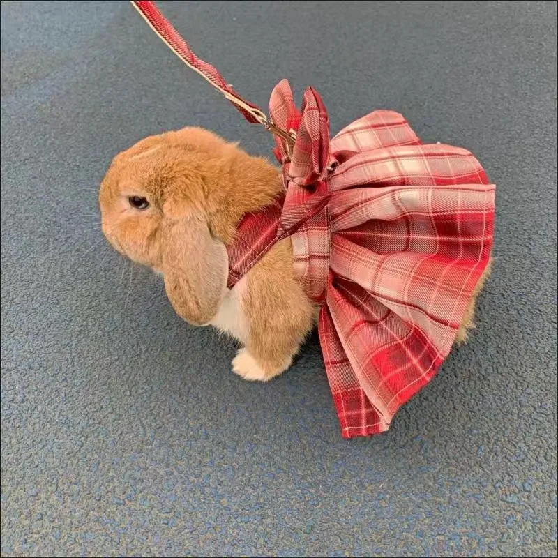 Rabbit JK Dresses and Leash Sets Mesh Plaid Pet Vest Harness for Cats Bunny Summer Small Animals Clothes Rabbits Accessories