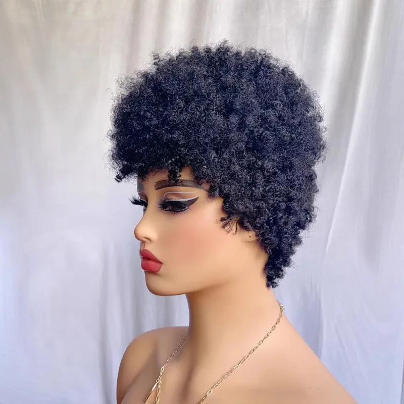 8 Zoll Afro Kinky Curly Echthaar Perücke mit Raupenlocken für Schwarze Frauen, 180% Dichte, Brasilianisches Remy-Haar, Vollmaschinenperücke – Detail 4