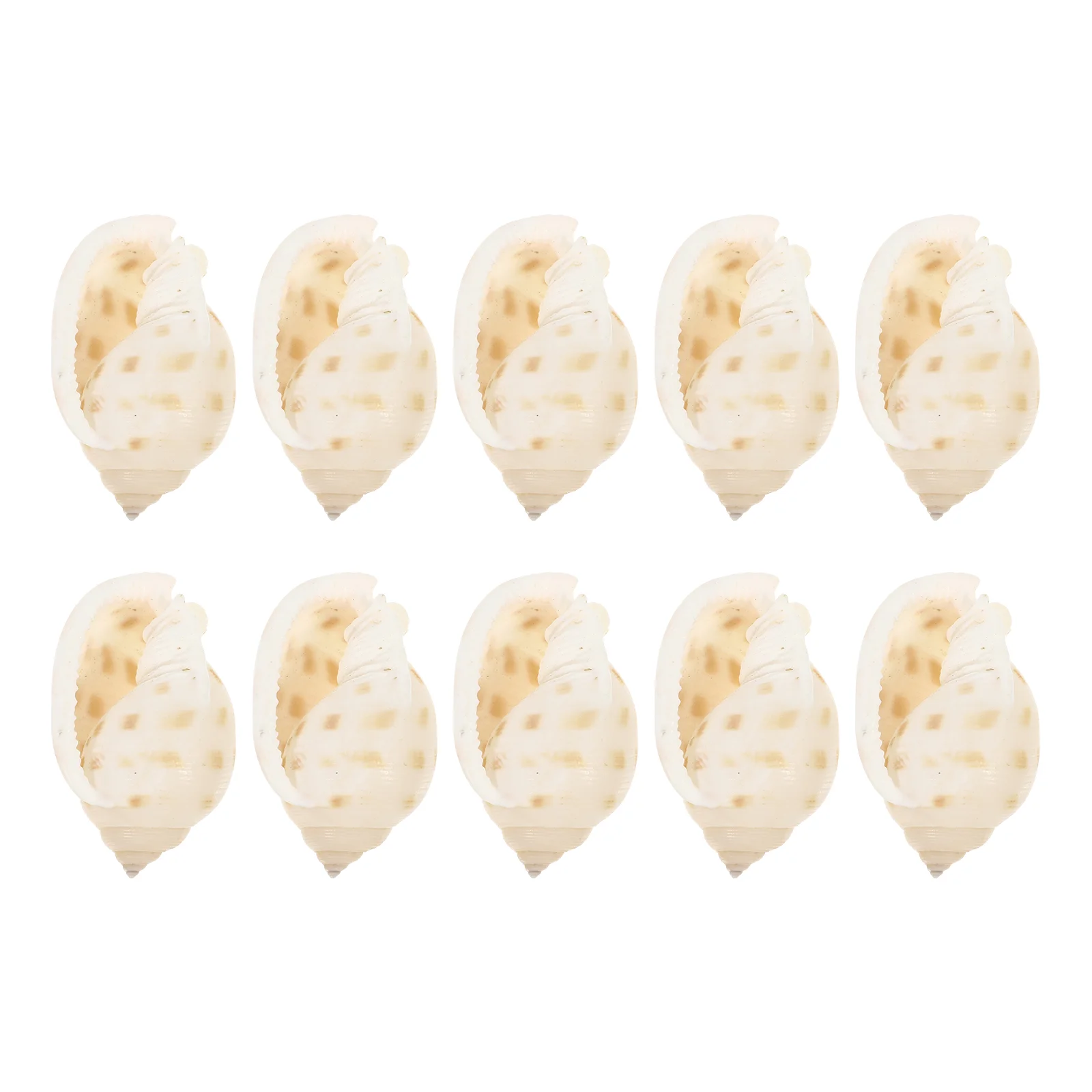 

10 Pcs Natural Conch Micro Landscaping Adornment Decorate Conchs Fish Tank Decoration Aquarium Scene Layout