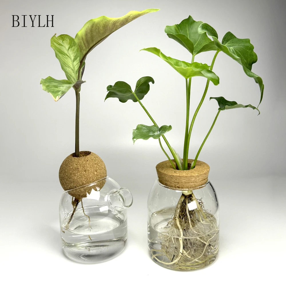 Glass Small Vase Transparent Hydroponic Plant Vase With Bamboo Tray Home decoration Planting Green Plants Small Flower Bottle