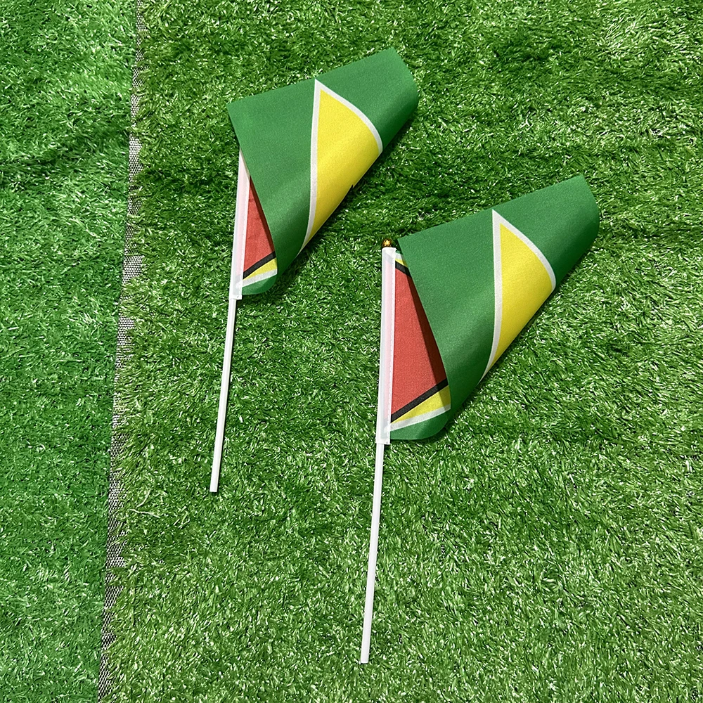 Bandera táctica Guyana con mástil deportivo y decoración manual - imagen 4