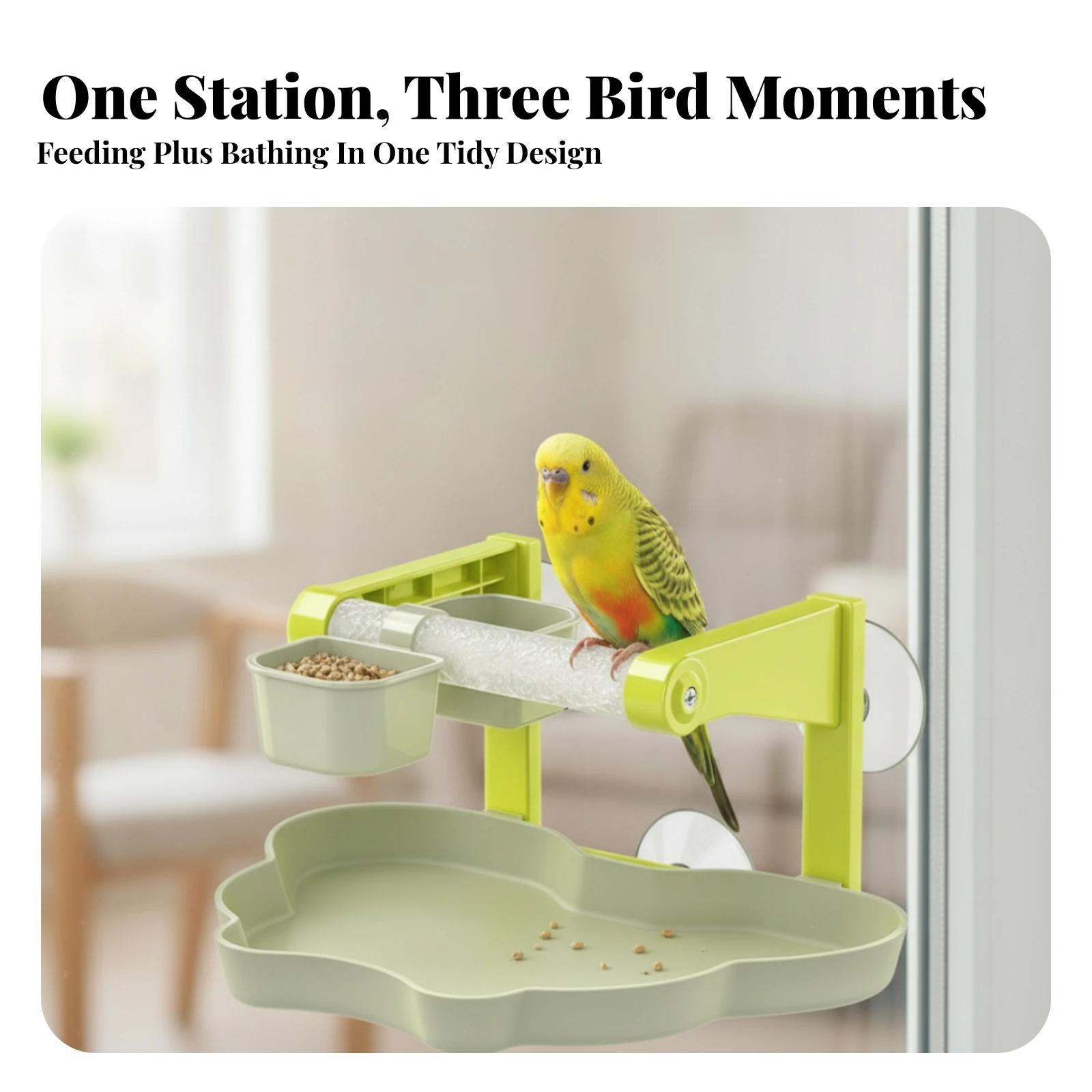 Window Bird Perch with Tray Stable Pet Supply for Parakeets, Indoor Glass