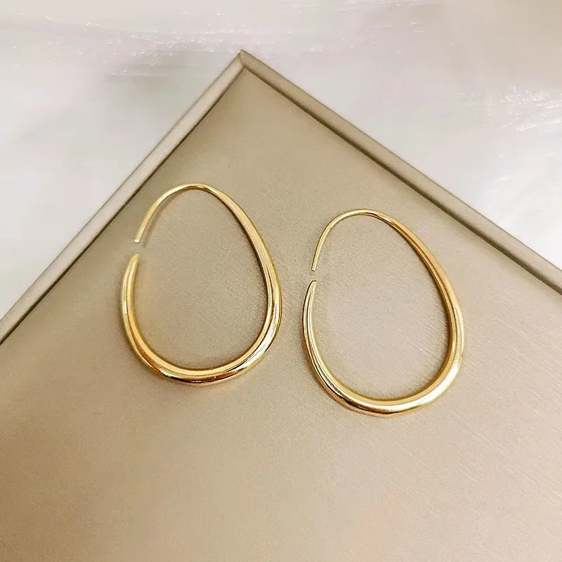 New Personality Retro Hong Kong Style Temperament Simple Cold Style Circle Earrings Oval Fashionable All-match High-end Jewelry