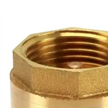 Brass Foot Valve with Stainless Steel Mesh Filter for Suction Line Integration 1 inch NPT Thread Backflow Protection