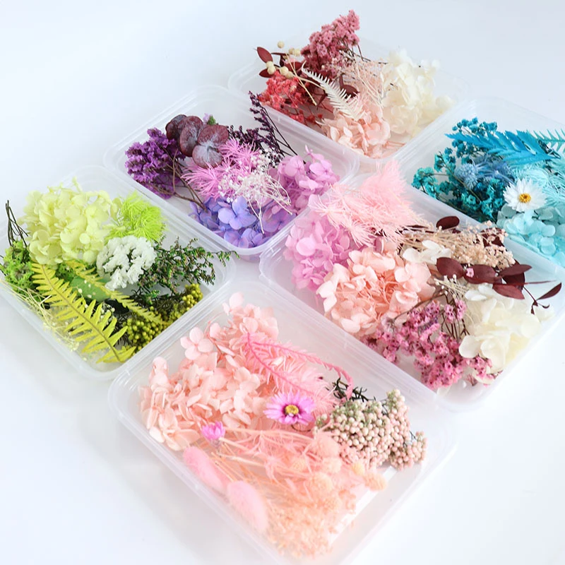 

1 Box Dried Real Flowers Preserved Natural Pressed DIY Floral Materials Purple Memories Set Flowers for Crafts