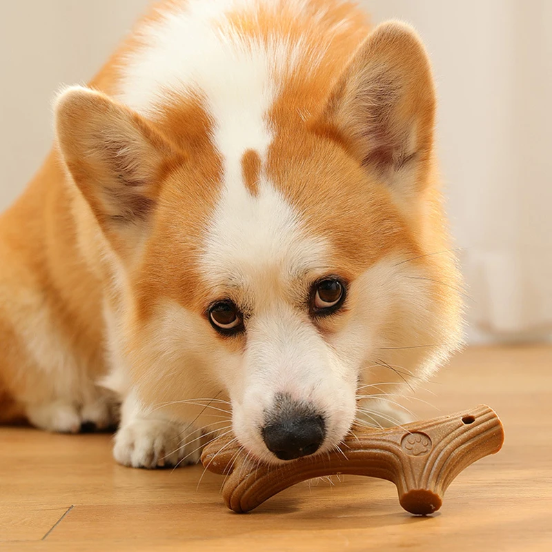 Hot sale Pet Teeth Grinding Toy Dog Interactive Bone Training Toy Bamboo Cleaning Teeth Fixing Wear Resistant Pet Products