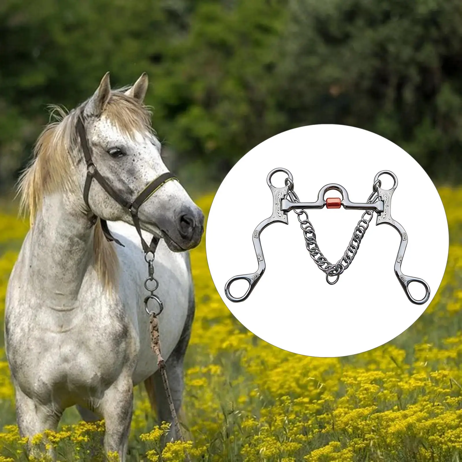 morso-per-addestramento-cavalli-in-acciaio-inossidabile-con-rullo-centrale-attrezzi-equestri-per-l'equitazione-equipaggiamento-per-cavalli
