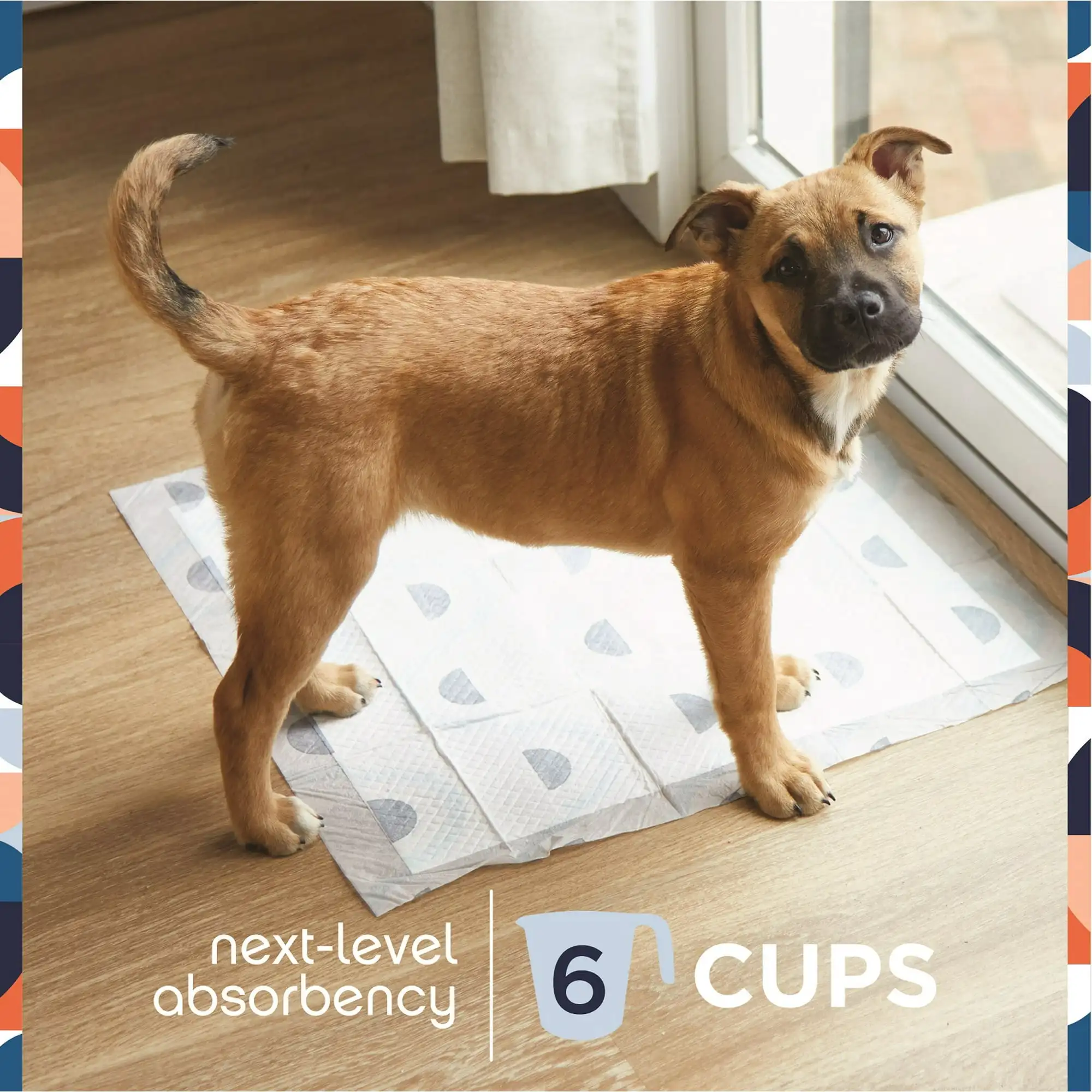 

Dog Pads, Smart Prints, Large, Sunshine & Rainbows Print, 40ct