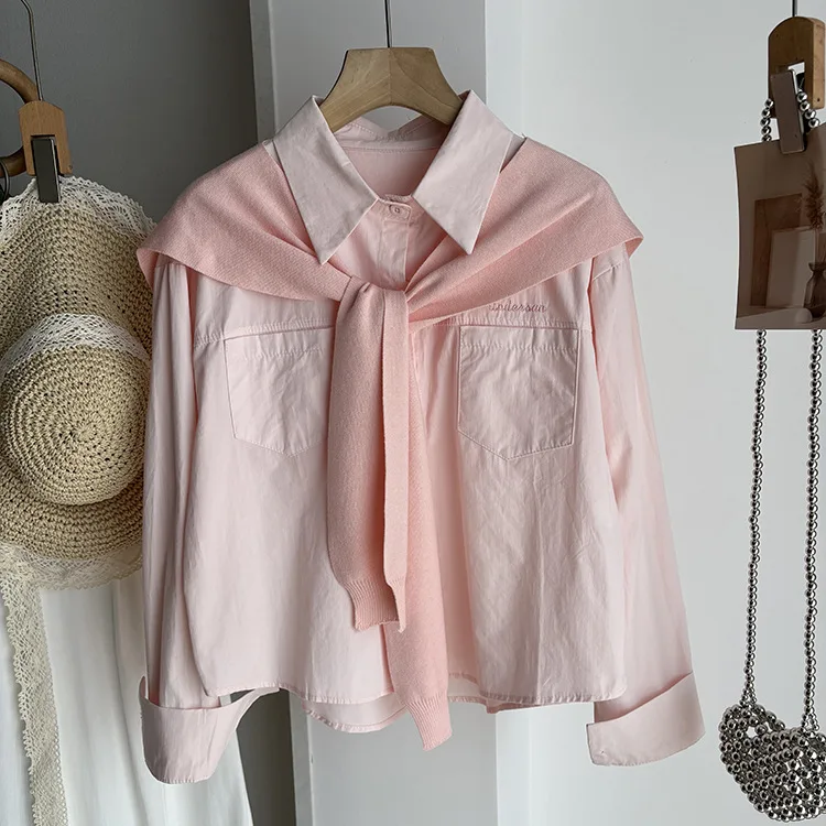 

Pink Collar Shawl Long Sleeve Women's Shirt Spring 2026 New Loose Embroidery Design Sense Small Size Top Casual Sportswear