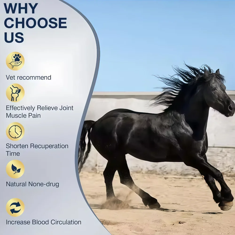 

Лазер клинического класса для лошадей, ветеринарное устройство 4x808 нм с TENS и красным светом для тяжелого сухожилия и травм связок