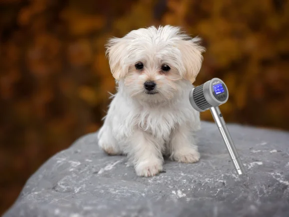 

Innovative Laser Pain Relief Device for Humans & Pets - COZING-T05 3-Second Quick Start Joint Care Therapy Machine at Home