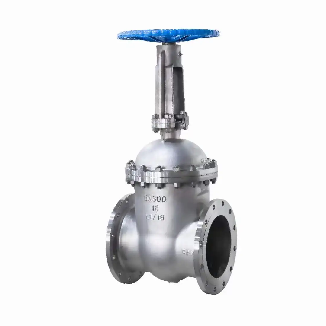 Stainless Steel 304 321 316 Flanged Flexible Wedge Gate Valve