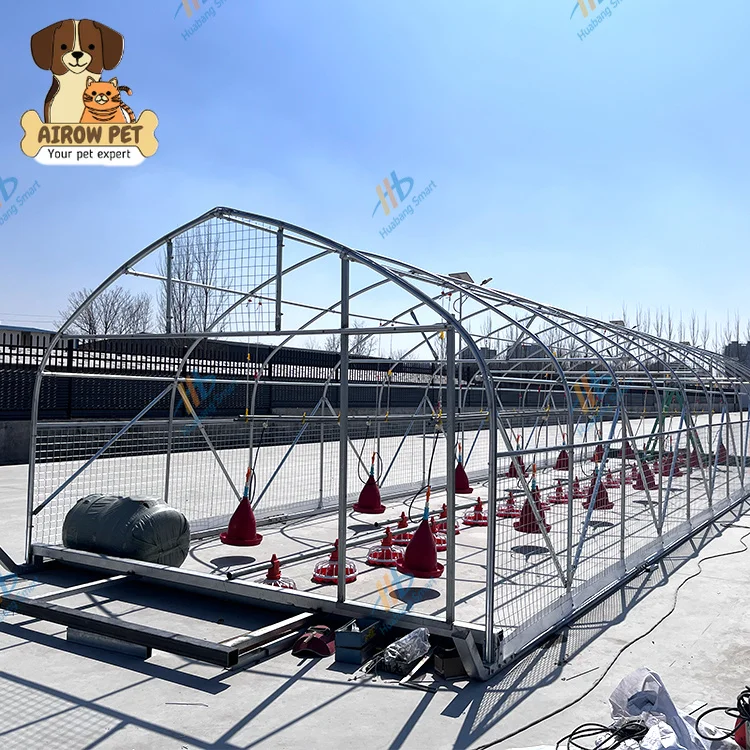 AIROW The Latest Open-plan High-capacity Poultry Design Boasts Exceptional Load-bearing Capacity Chicken Coop