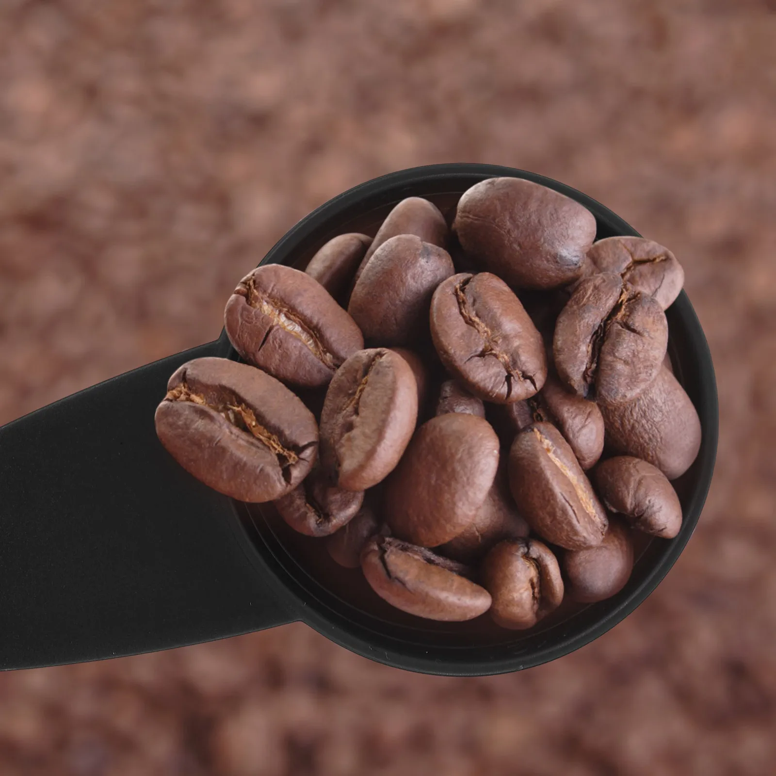 

5pcs Measuring Spoon Long Handle Coffee Scoop Kitchen Spoons For Coffee Beans Tea Spices Small Scoops Canisters Reusable