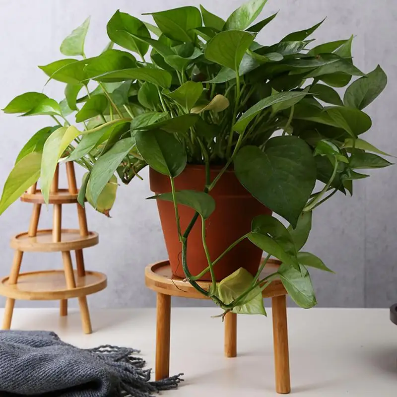 Soporte de madera para plantas de interior, taburete alto redondo, moderno, decorativo para sala de estar, sofá y sala de estar