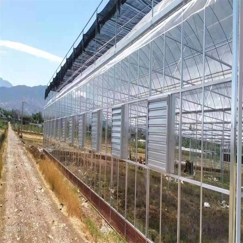 2025 유리 온실 제조업체 - 꽃 유리 온실, 온실에서의 채소 재배