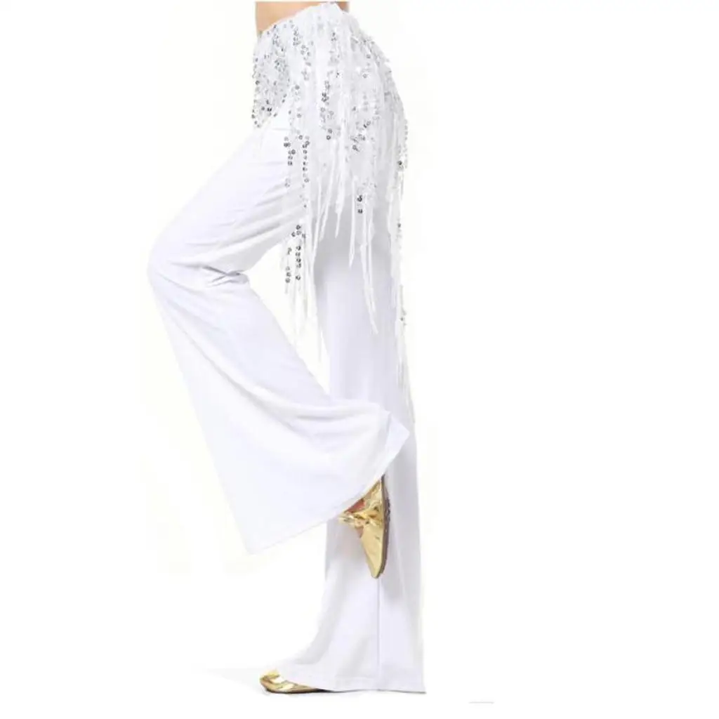 Belly Dance Accessories Mesh Sequin Tassel Hip Scarf Skirt Warp Belt for Women’s Show and Practice