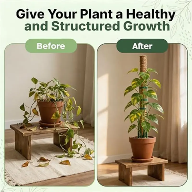 Rooftop& Filodendrace Compatible- 4-Piece Plant Stand Set-For Indoor Climbing Plants-Plant Stumps In Coconut Shells
