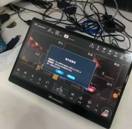 Durable Using Home Karaoke Machine for Party InAndOn 15.6 5in1 8T Professional Portable Karaoke Player