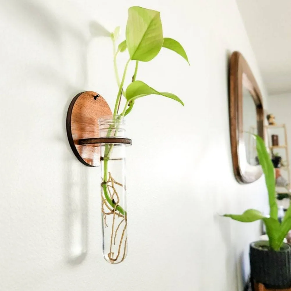 4 Piece Wall Mounted Wooden Plant Stand with Transparent Test Tubes for Displaying Air Plants and Cuttings in Living Spaces